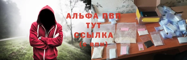 гашик Коряжма
