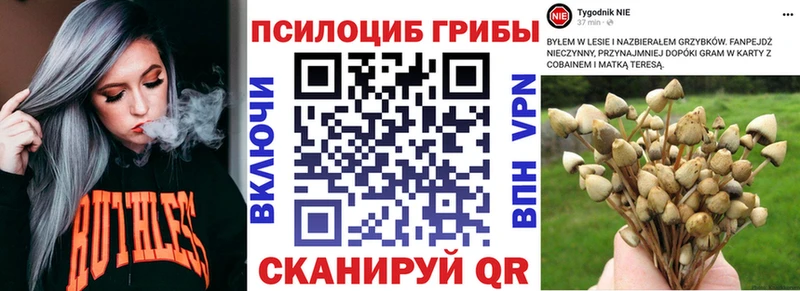 Галлюциногенные грибы MAGIC MUSHROOMS цена Жуковский