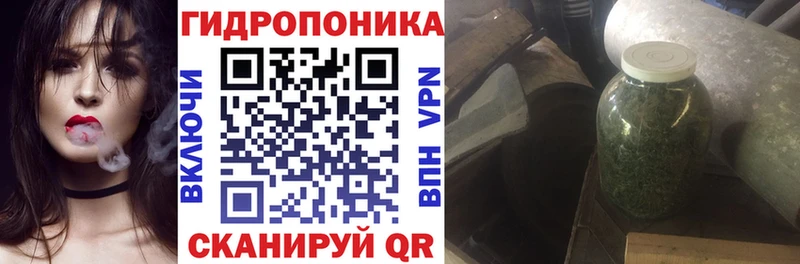 сколько стоит Жуковский Шишки марихуана Ganja